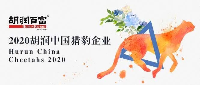 大易有塑上榜《2020胡润中国猎豹企业》